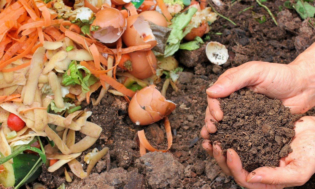 compost, ecology, waste-6053136.jpg